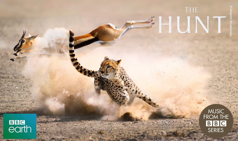 猎捕第一季 The Hunt 网盘/迅雷 迅雷下载