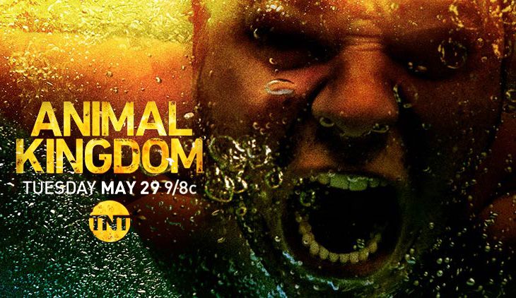 《野兽家族第三季》 Animal Kingdom 迅雷下载 罪案/动作谍战 第1张