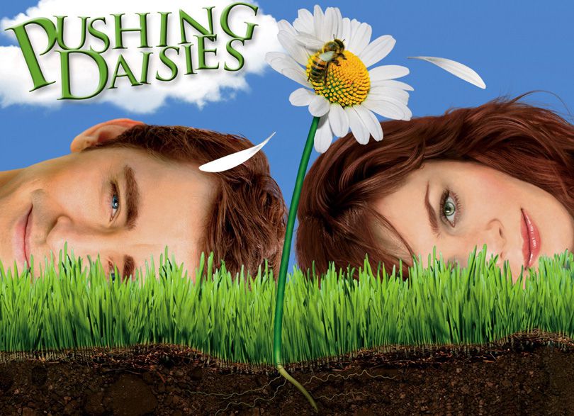 《灵指神探第一至二季》 Pushing Daisies 迅雷下载