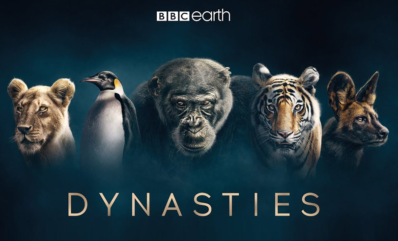 《王朝第一季》 Dynasties 迅雷下载