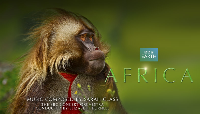 非洲第一季 Africa 迅雷下载