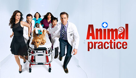 动物诊所第一季 Animal Practice 迅雷下载
