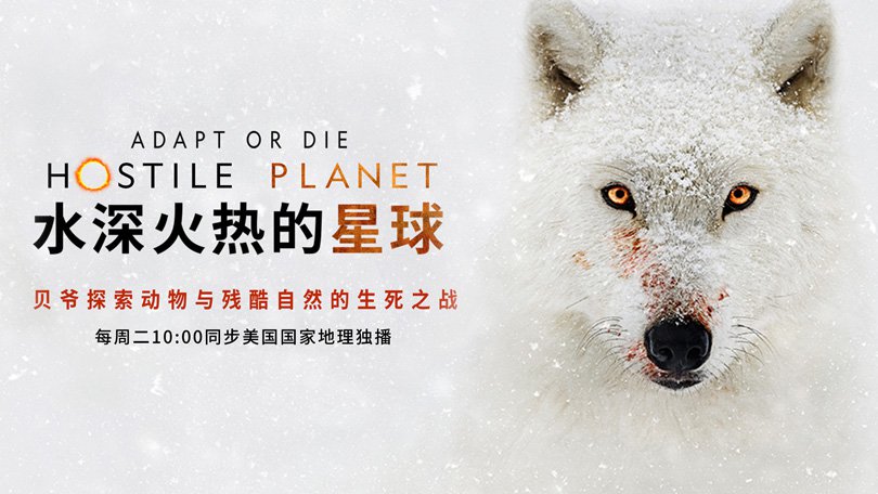 《水深火热的星球第一季》Hostile Planet 迅雷下载