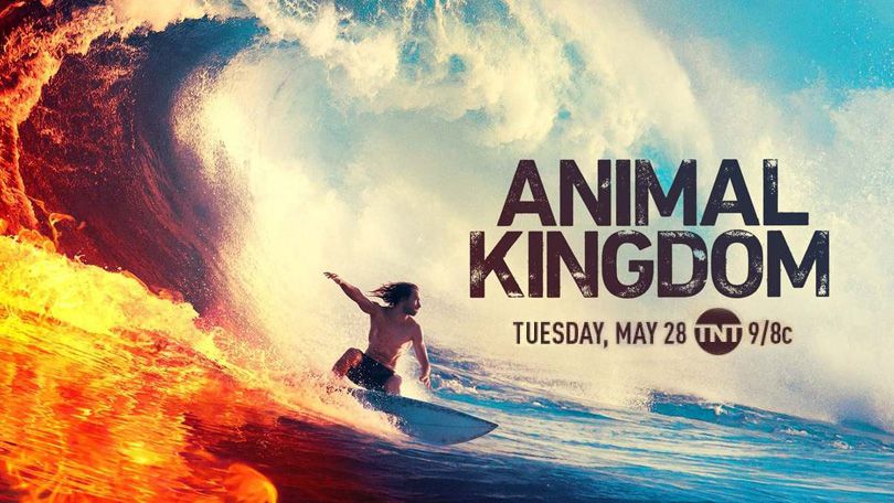 《野兽家族第四季》Animal Kingdom 迅雷下载