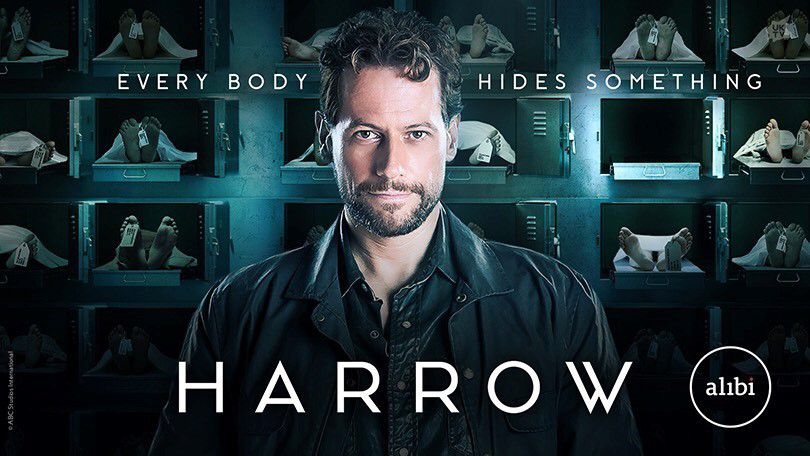 《神秘法医第二季》Harrow 迅雷下载