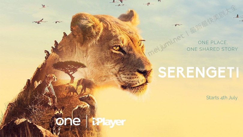 《塞伦盖蒂第一至二季》SERENGETI 迅雷下载 纪录片 第1张