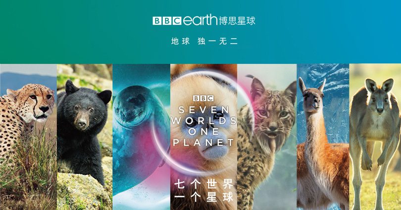 《七个世界，一个星球第一季》Seven Worlds, One Planet 迅雷下载