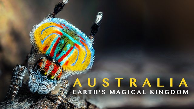 《绿野仙澳》Australia: Earth’s Magical Kingdom 迅雷下载