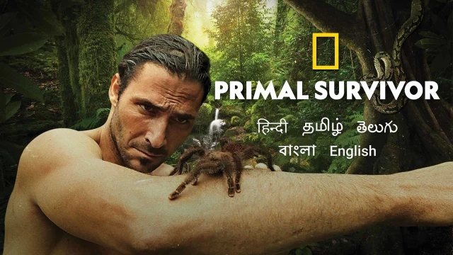《原始求生记第五季》Primal Survivor 迅雷下载