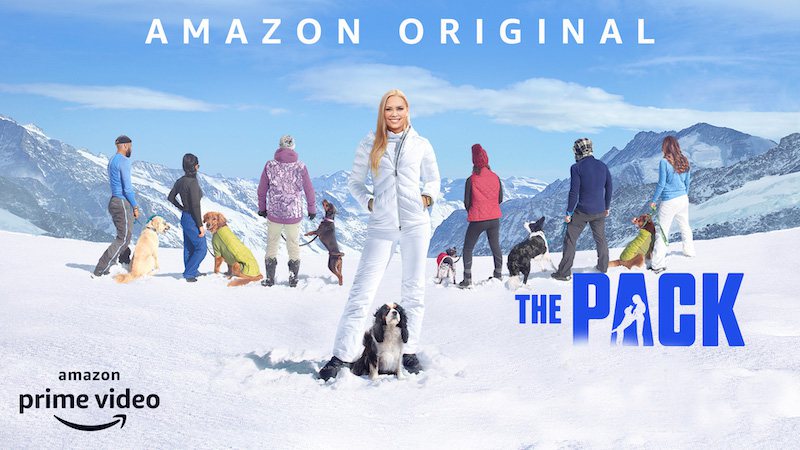 《赛狗/真狗秀第一季》The Pack 迅雷下载