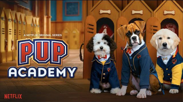 《狗狗学院第一至二季》Pup Academy 迅雷下载 2020新剧 第1张
