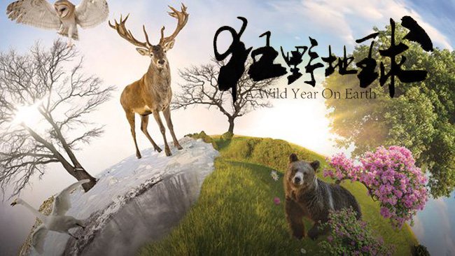 《狂野地球第一季》A Wild Year on Earth 迅雷下载