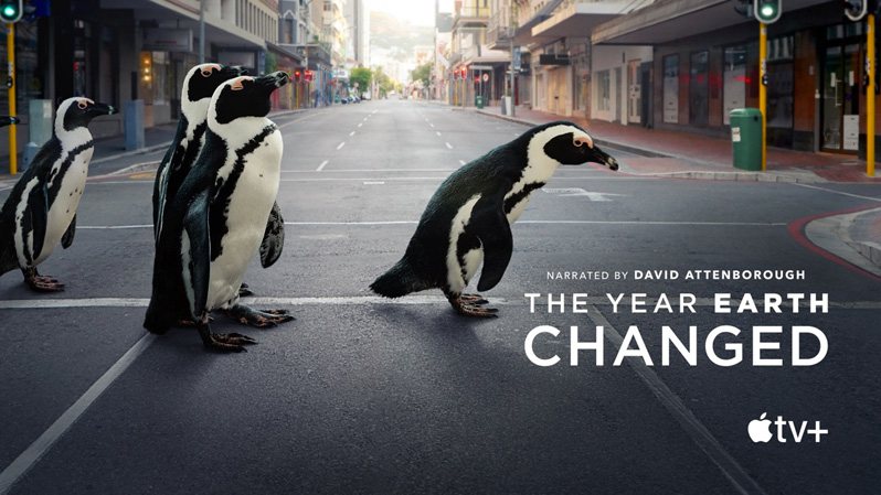 《地球改变之年第一季》The Year Earth Changed 迅雷下载