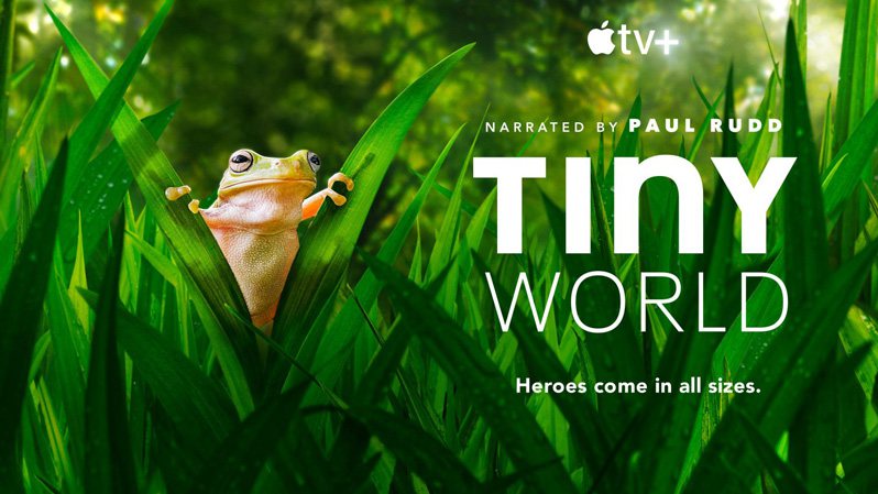 《小小世界第二季》Tiny World 迅雷下载