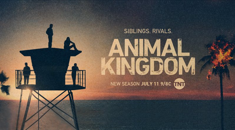 《野兽家族第五季》Animal Kingdom 迅雷下载