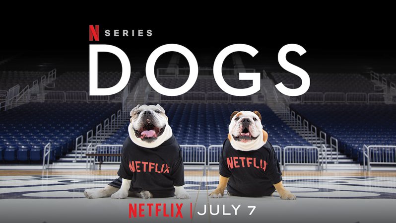 《爱犬情深第二季》Dogs 迅雷下载