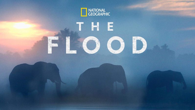 《洪水第一季》The Flood 迅雷下载