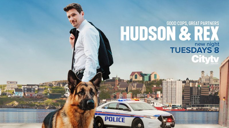 《哈德森与雷克斯第四季》Hudson & Rex 迅雷下载