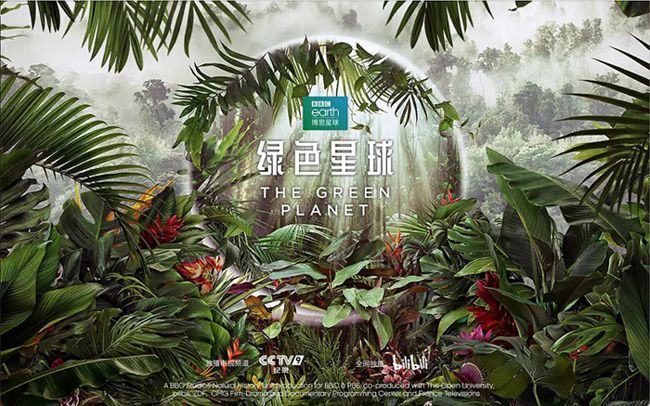 《绿色星球第一季》The Green Planet 迅雷下载