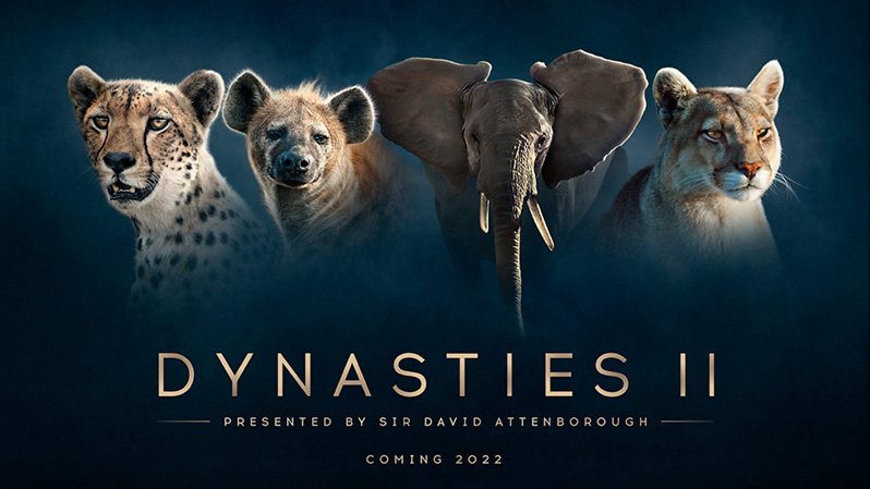 《王朝第二季》Dynasties 迅雷下载