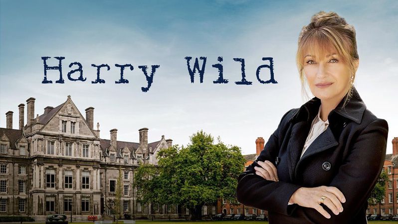 《野探哈莉第一季》Harry Wild 迅雷下载