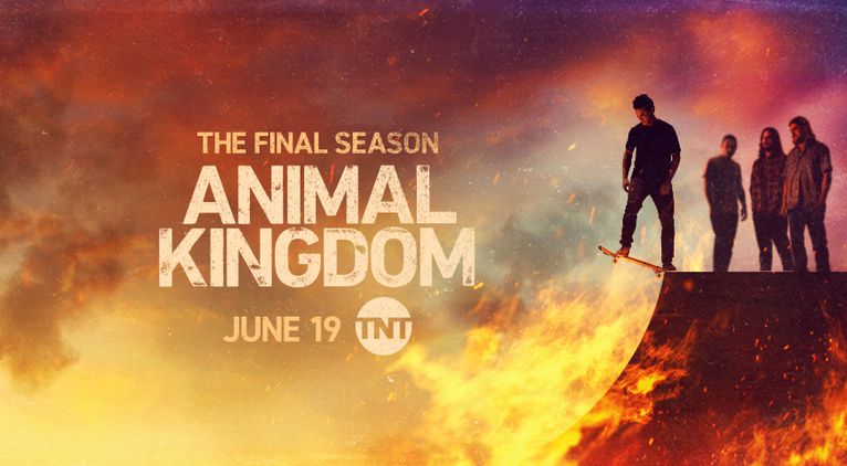 《野兽家族第六季》Animal Kingdom 迅雷下载
