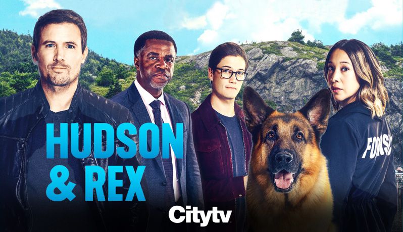 《哈德森与雷克斯第五至七季》Hudson & Rex 迅雷下载