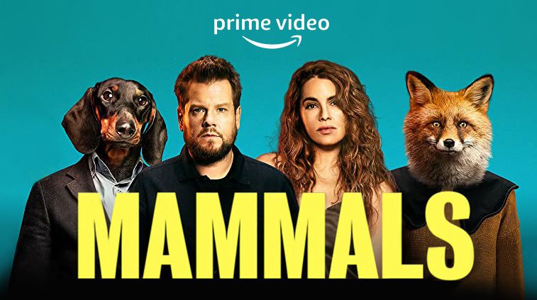 《哺乳动物第一季》Mammals 迅雷下载