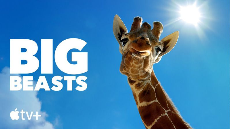 《巨兽第一季》Big Beasts 迅雷下载
