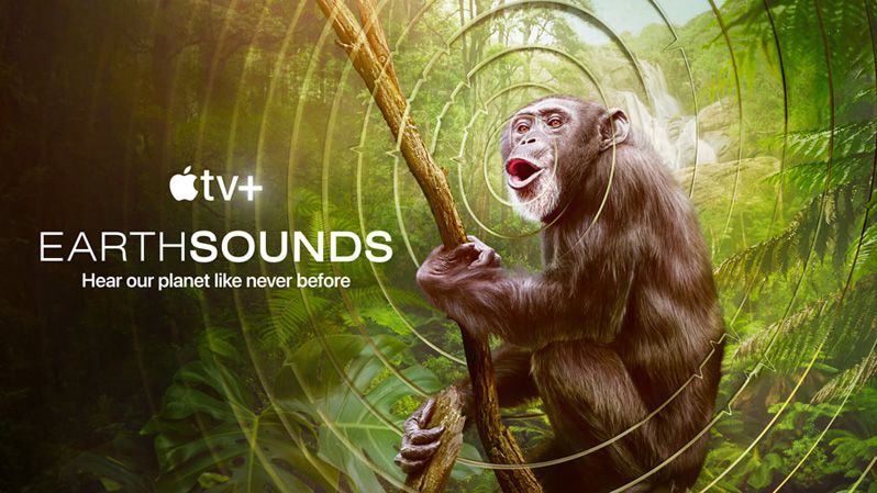 《地球之声第一季》Earthsound 迅雷下载