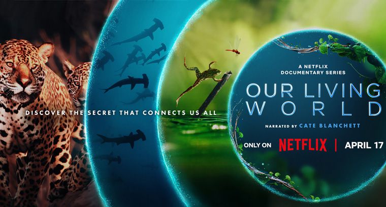 《我们的生物世界第一季》Our Living World 迅雷下载