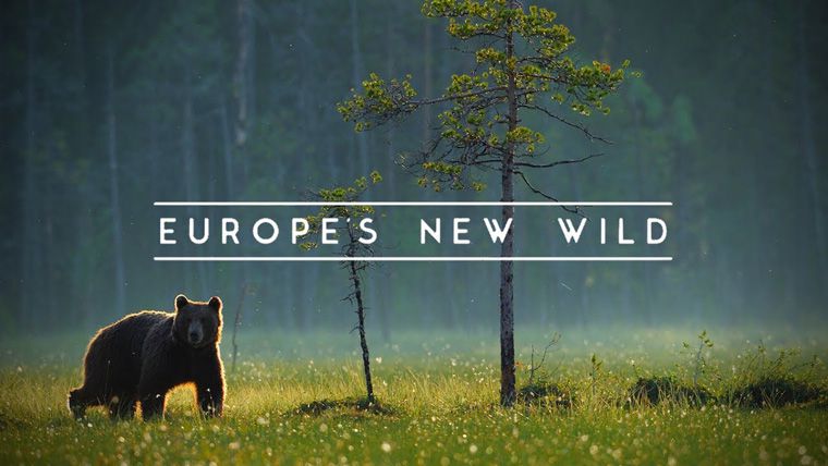 《欧洲野性新生第一季》Europe's New Wild Season 1 迅雷下载 纪录片 第1张