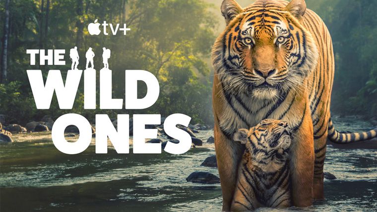 《野性生灵第一季》The Wild Ones 迅雷下载
