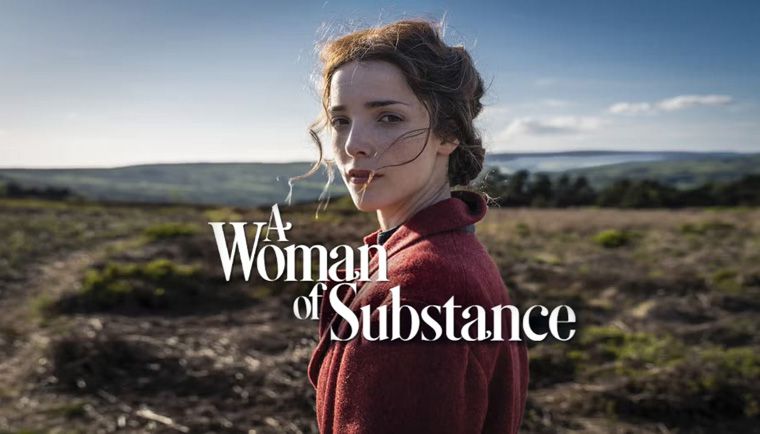 《一个真正的女人第一季》A Woman of Substance 迅雷下载