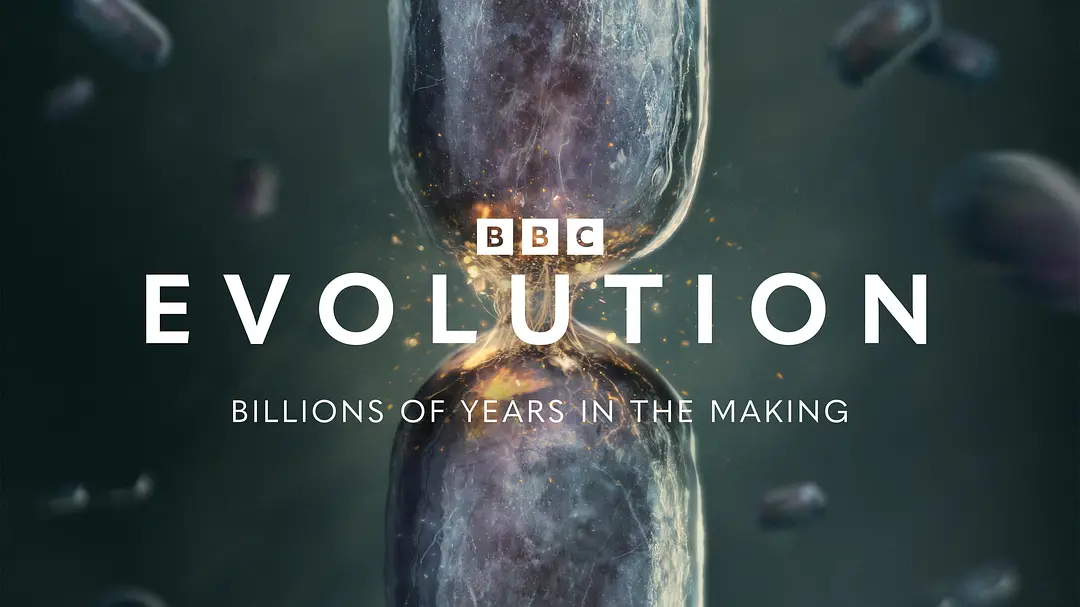 《演化第一季》Evolution 网盘/迅雷下载